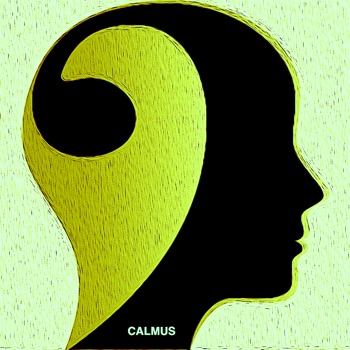 CalmusPlay