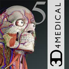 Anatomy 5